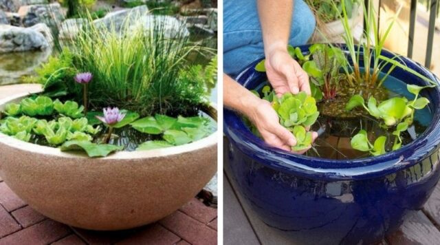 Mini jezírka bez výkopu: 40 DIY inspirací do nádob pro terasu, dvůr i balkon