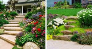 Elegantní zahradní chodník, který zvýrazní krásu výsadby kolem: 40 inspirací