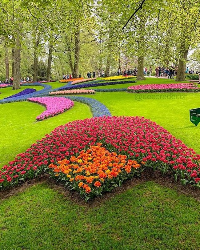 Květinové záhony v arabeskovém stylu: 40 inspirací pro svah i rovinu