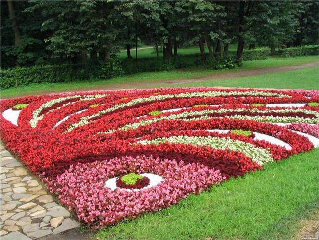 Květinové záhony v arabeskovém stylu: 40 inspirací pro svah i rovinu