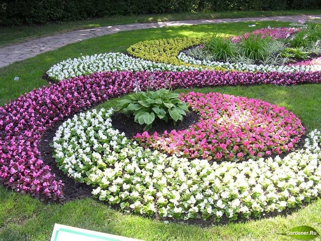 Květinové záhony v arabeskovém stylu: 40 inspirací pro svah i rovinu
