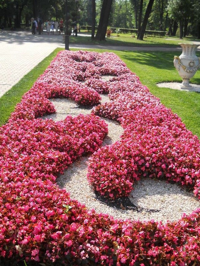 Květinové záhony v arabeskovém stylu: 40 inspirací pro svah i rovinu