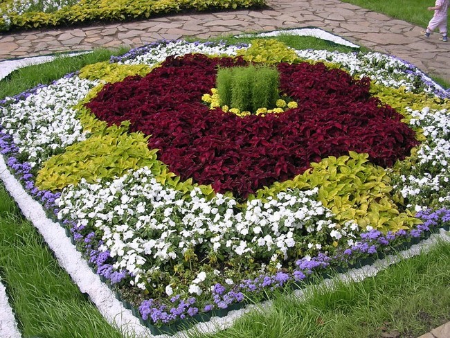 Květinové záhony v arabeskovém stylu: 40 inspirací pro svah i rovinu