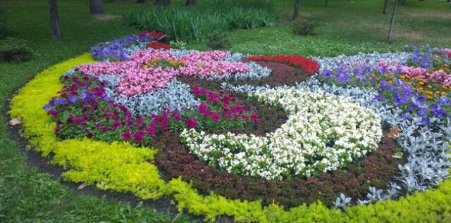 Květinové záhony v arabeskovém stylu: 40 inspirací pro svah i rovinu