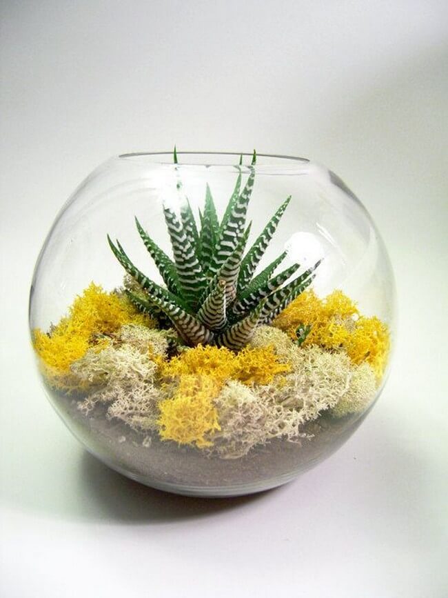 Kouzlo florárií v interiéru: 35 fotografií plných inspirace