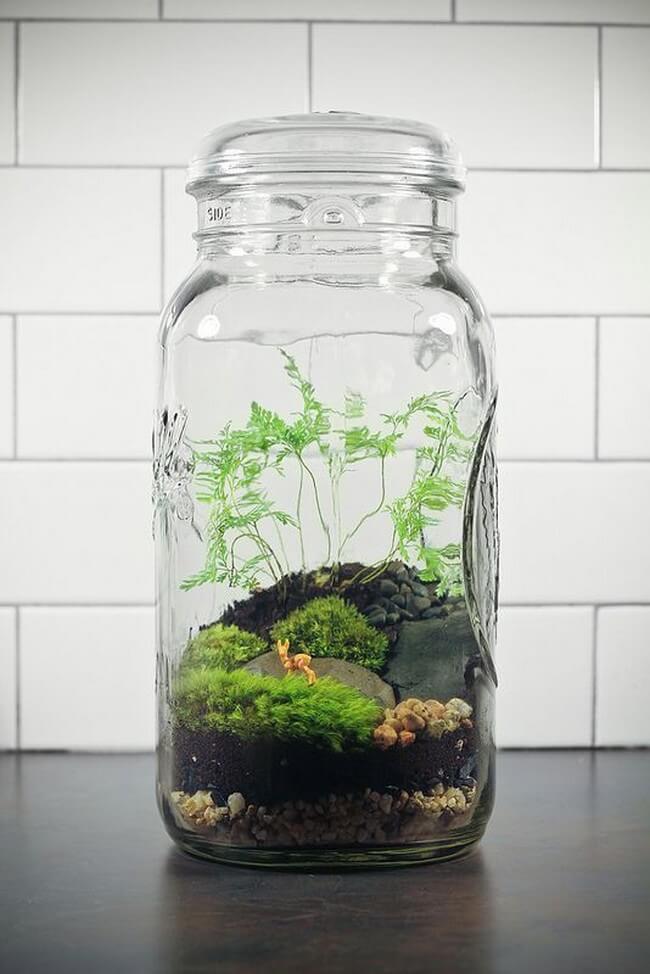 Kouzlo florárií v interiéru: 35 fotografií plných inspirace