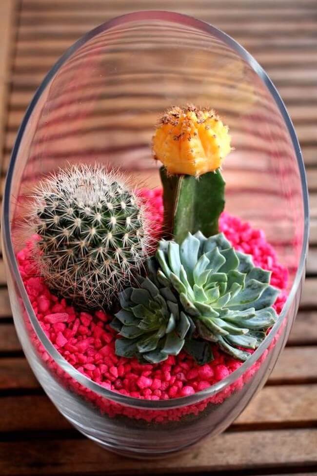 Kouzlo florárií v interiéru: 35 fotografií plných inspirace