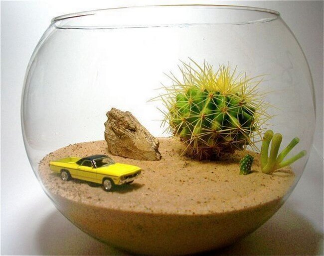 Kouzlo florárií v interiéru: 35 fotografií plných inspirace