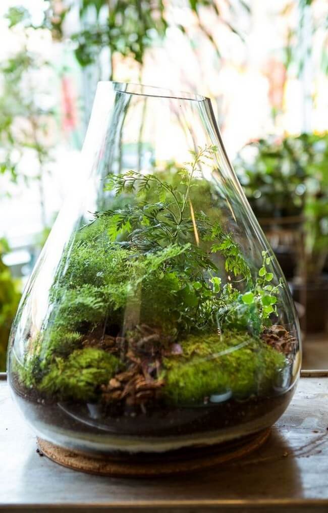 Kouzlo florárií v interiéru: 35 fotografií plných inspirace