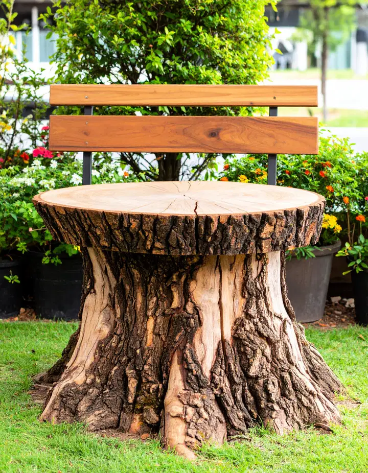 Inspirativní nápady na dekorování pařezů pro elegantní přírodní zahradní design