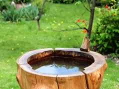 Inspirativní nápady na dekorování pařezů pro elegantní přírodní zahradní design