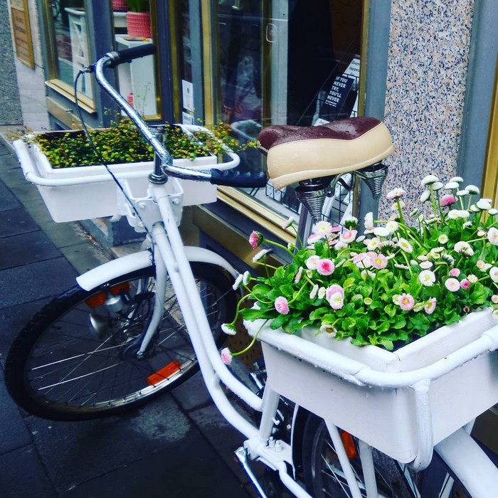 Květinové záhony u domu ze starého kola: 45 krásných inspirací
