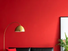 Elegantní černo-červený obývací pokoj: inspirace pro odvážný a luxusní interiér Elegantní černo-červený obývací pokoj: inspirace pro odvážný a luxusní interiér