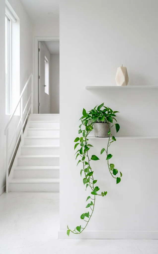 Minimalistické schodiště: inspirace pro elegantní stěny a moderní vstupní prostor