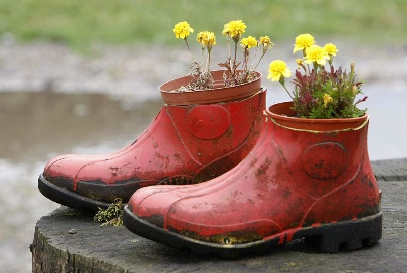 Jak využít staré boty na zahradě: Inspirace na netradiční květináče