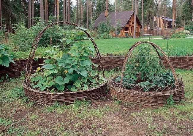 DIY proutěné obruby záhonů: přírodní krása pro každou zahradu
