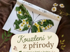 Dětské tvoření z listů, květin a přírodních pokladů