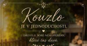Když dřevo ožívá: Originální DIY dřevořezby, které zkrášlí váš dům i zahradu