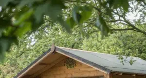 Kreativní nápady na zahradní domek z palet pro vaši zahradu