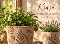 DIY z kartonu od vajec: Vyrobte si originální obal na květináč