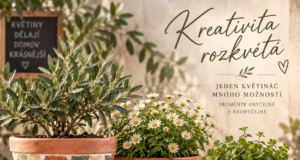 Mozaikový květináč: originální DIY dekorace z keramických střepů