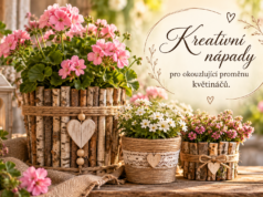 DIY inspirace: Vytvořte si originální květináče a dekorace vlastníma rukama